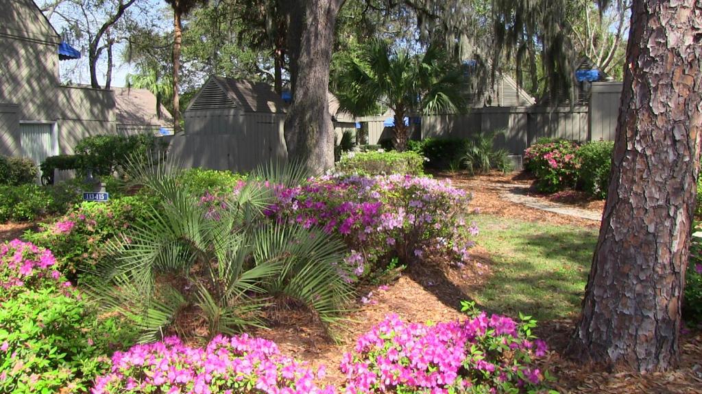 The Village Palmetto Dunes - image 3