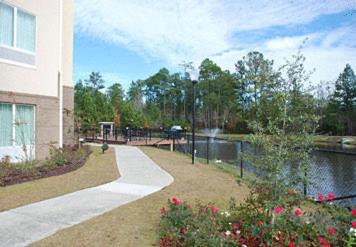 Fairfield Inn & Suites By Marriott Hinesville Fort Stewart - image 6