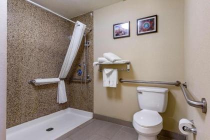 Comfort Suites Hobbs - image 11