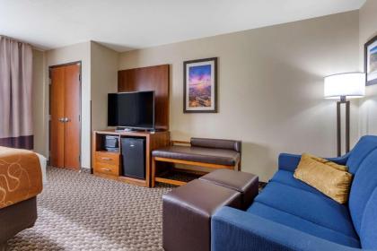 Comfort Suites Hobbs - image 12