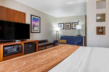 Comfort Suites Hobbs - image 14