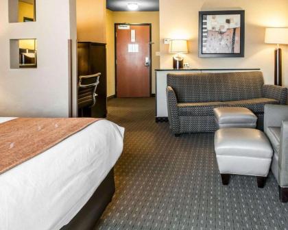 Comfort Suites Hobbs - image 3