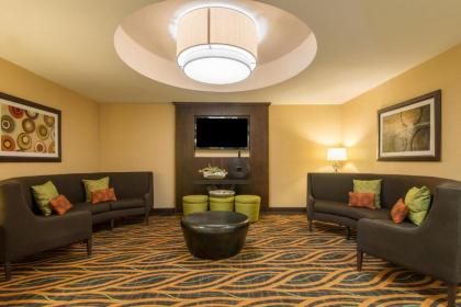 Holiday Inn Express Hotel & Suites Hobbs an IHG Hotel - image 9