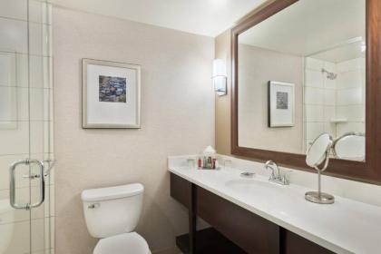 Chicago Marriott Northwest - image 5