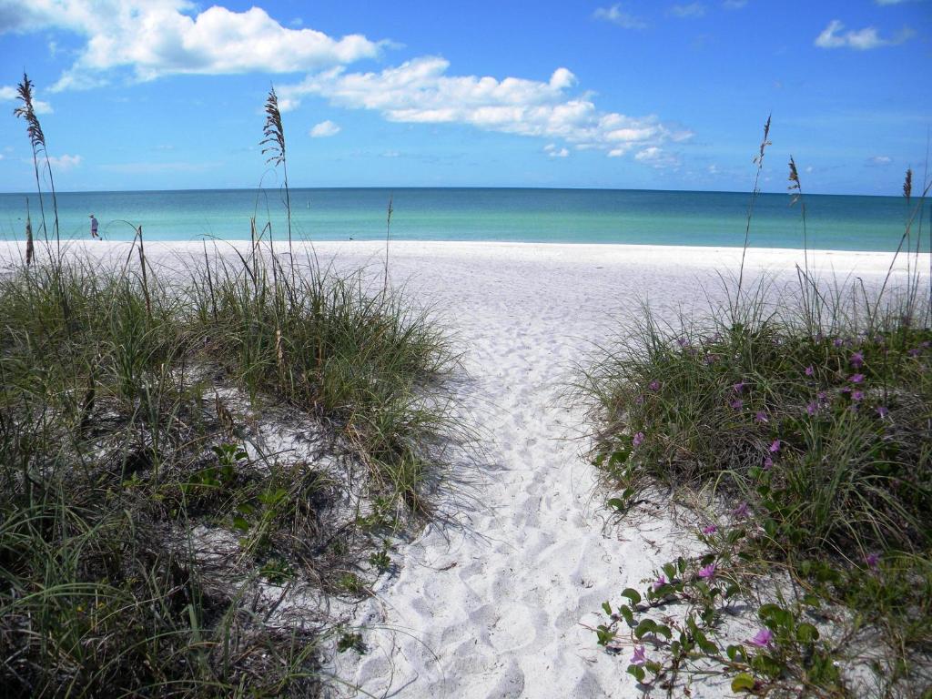 Mainsail Beach Inn on Holmes Beach - image 5