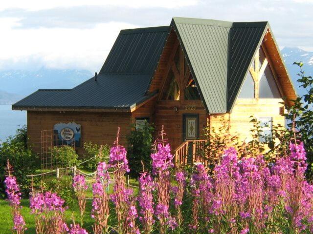 Alaska Adventure Cabins - main image