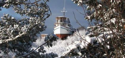 Alaska Adventure Cabins - image 2