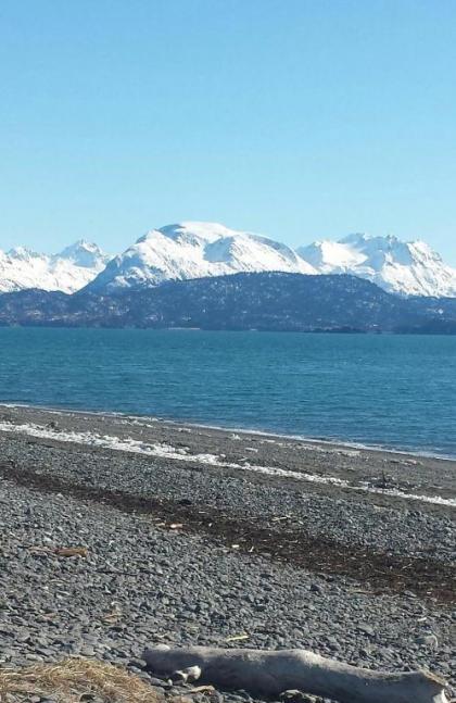 Beluga Lake Lodge - image 6