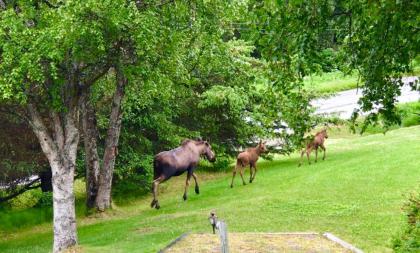 Halcyon Heights B&B/Inn - image 12