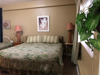 Aloha Bed and Breakfast - image 6