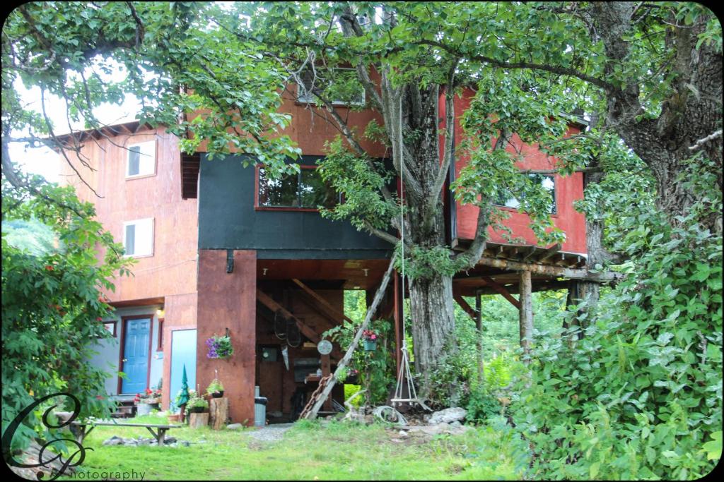 cottonwood cabins - main image