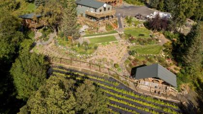 Bear Creek Winery and Lodging - image 2