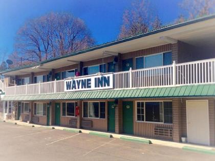 Wayne Inn - image 3