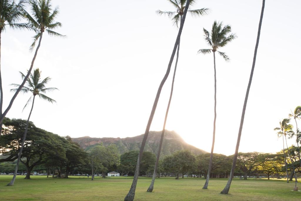 Lotus Honolulu at Diamond Head - image 5