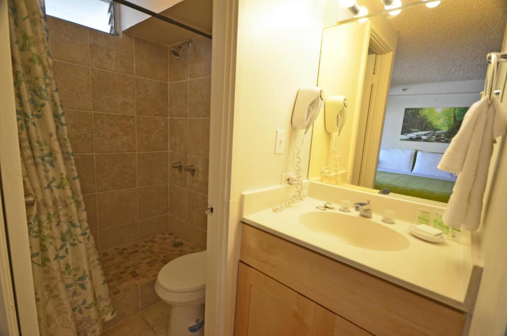 KV702 Waikiki Private Waterfall Room Mountain View! - image 4