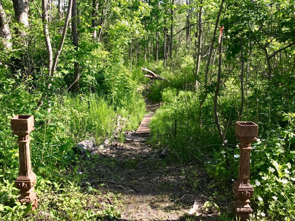 Cedar Ridge Cabins - image 7