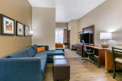 Comfort Suites Hopkinsville - image 11