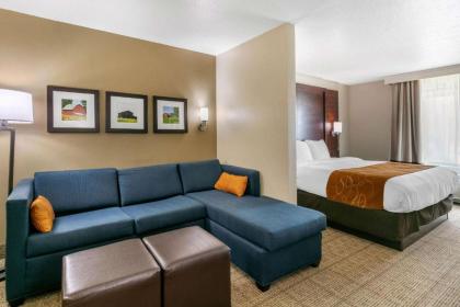 Comfort Suites Hopkinsville - image 7