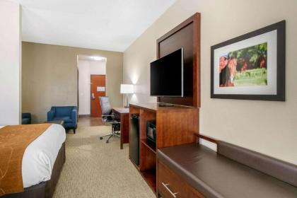 Comfort Suites Hopkinsville - image 8