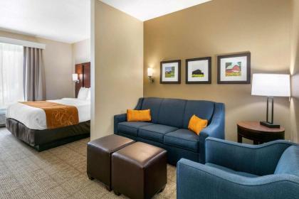 Comfort Suites Hopkinsville - image 9