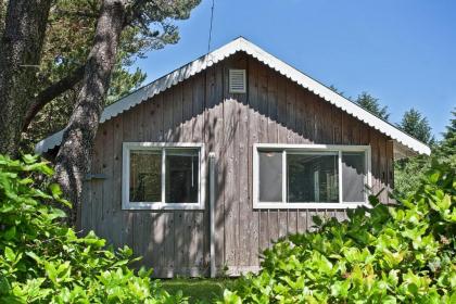 Ten Pines Cottage - image 5