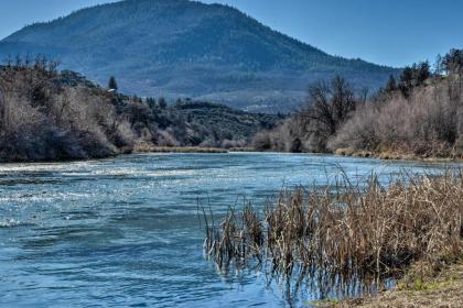 Cottage with Fire Pit and Deck on The Klamath River! - image 14