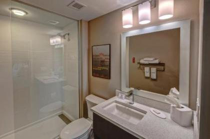 TownePlace Suites by Marriott Hot Springs - image 5