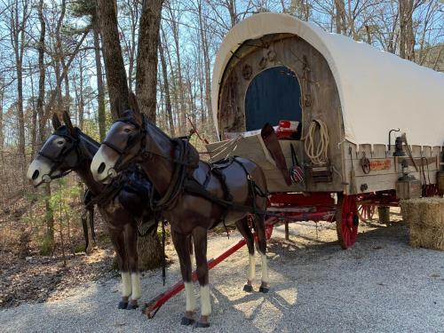 Prairie Palace Covered Wagon - image 2