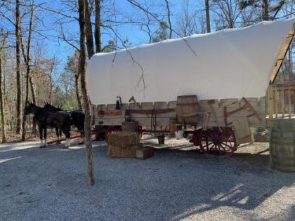 Prairie Palace Covered Wagon - image 3