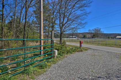 Luxury Log Cabin with 5 Private Acres and Hot Tub! - image 4