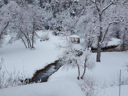 River Falls Lodging -Black Hills South Dakota - image 3