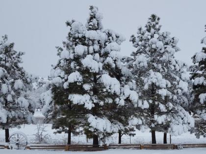 River Falls Lodging -Black Hills South Dakota - image 5