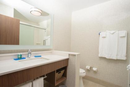 Holiday Inn Express Houghton-Keweenaw an IHG Hotel - image 16