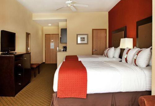 Holiday Inn Houma an IHG Hotel - image 2