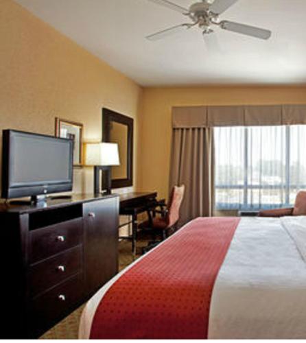 Holiday Inn Houma an IHG Hotel - image 5