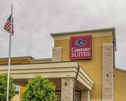 Comfort Suites Hudson I-94 - image 11