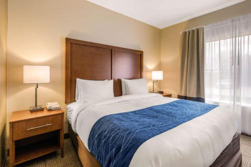 Comfort Inn & Suites IAH Bush Airport – East - image 3