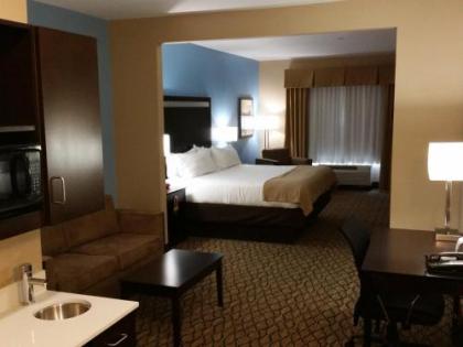 Holiday Inn Express and Suites Atascocita - Humble - Kingwood an IHG Hotel - image 2