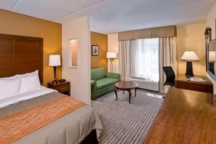 Comfort Inn at the Park - image 7