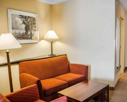 Comfort Suites Hummelstown - image 3