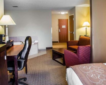 Comfort Suites Hummelstown - image 7