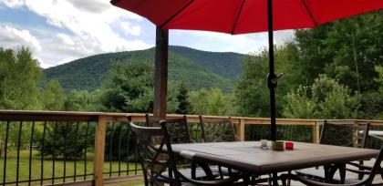 Hunter Mt Amazing Views! near Ski Slopes! Beautiful Catskills! - image 1