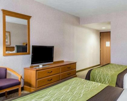 Comfort Inn Huntingdon - image 11