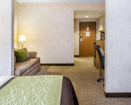 Comfort Inn Huntingdon - image 15