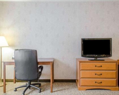 Comfort Inn Huntingdon - image 6