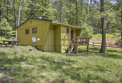 Rustic Cabin with Ponies and 50 Acres by Raystown Lake! - image 10