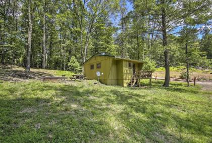 Rustic Cabin with Ponies and 50 Acres by Raystown Lake! - image 14