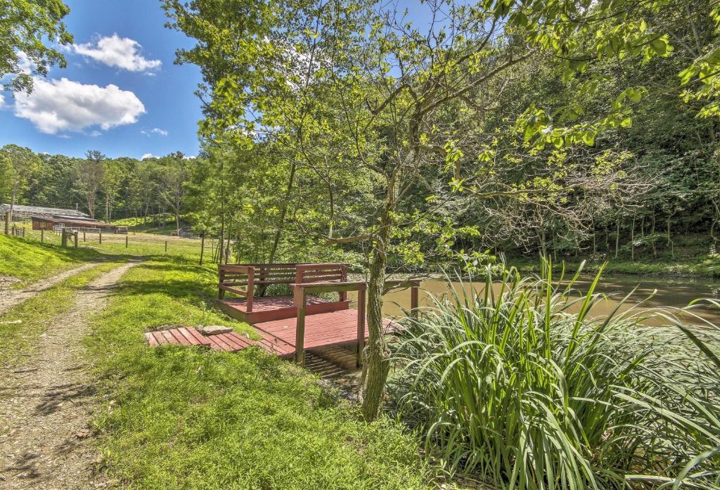 Rustic Cabin with Ponies and 50 Acres by Raystown Lake! - image 4