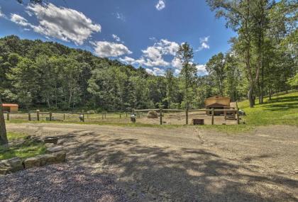 Rustic Cabin with Ponies and 50 Acres by Raystown Lake! - image 6