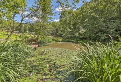 Rustic Cabin with Ponies and 50 Acres by Raystown Lake! - image 7